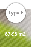 type-e